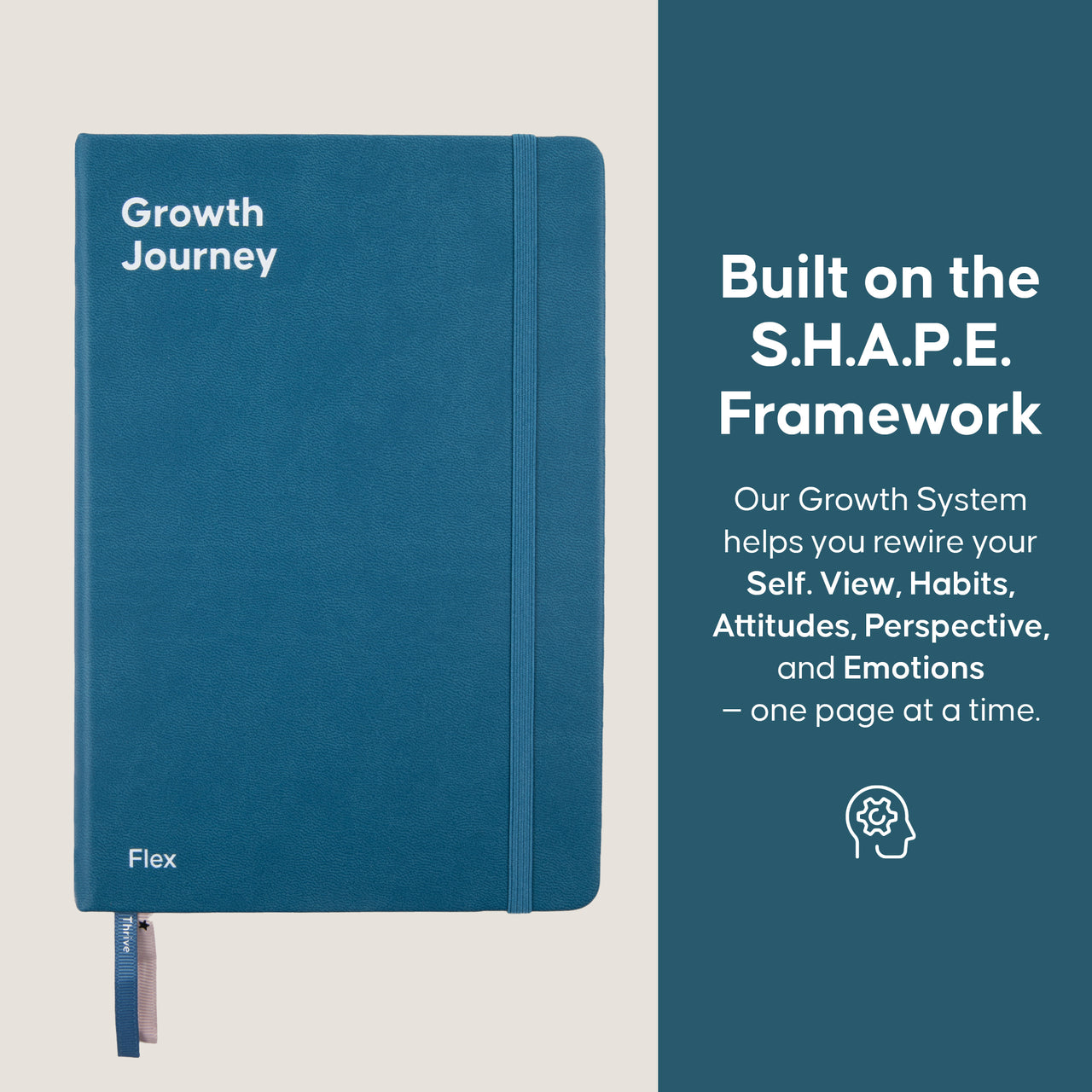 Flex Growth Journey