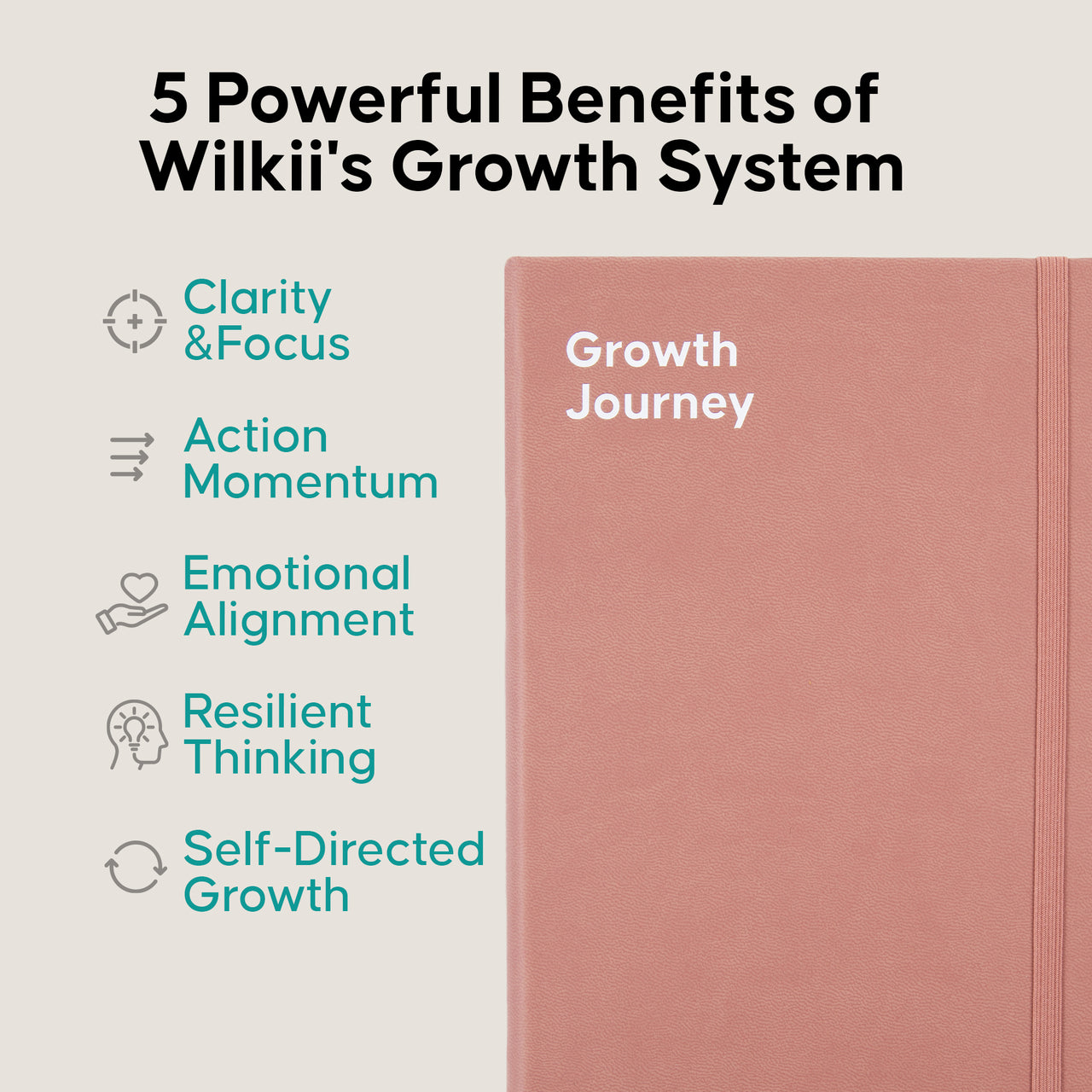 Flex Growth Journey