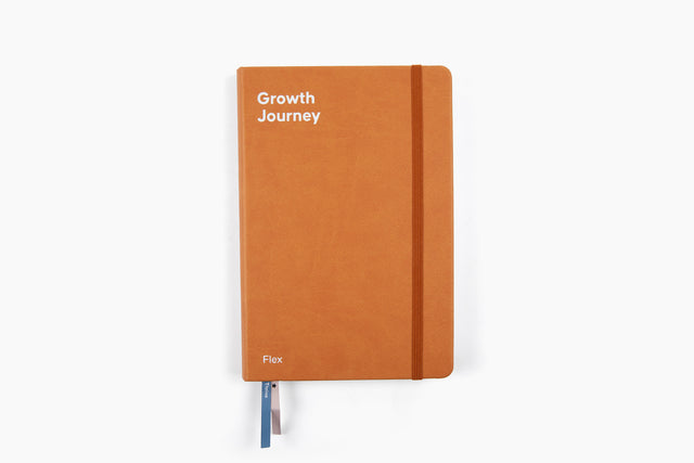 Flex Growth Journey