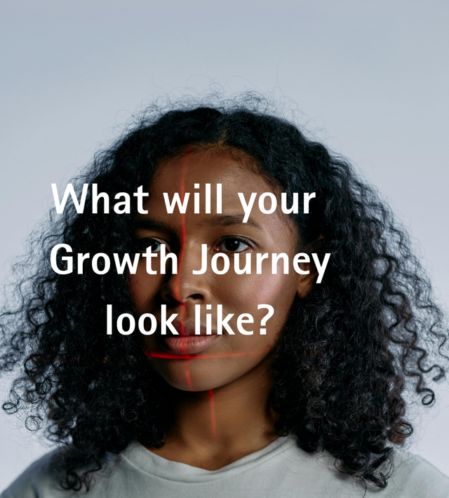 Flex Growth Journey